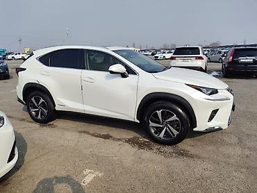 Lexus: Lexus NX: 2019 г., Гибрид, Кроссовер — 4