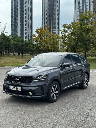 тормозные колодки задние: Kia Sorento: 2021 г., 2.2 л, Автомат, Дизель, Кроссовер