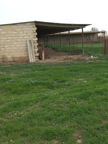 Torpaq sahələrinin satışı: Kənd təsərrüfatı — 11