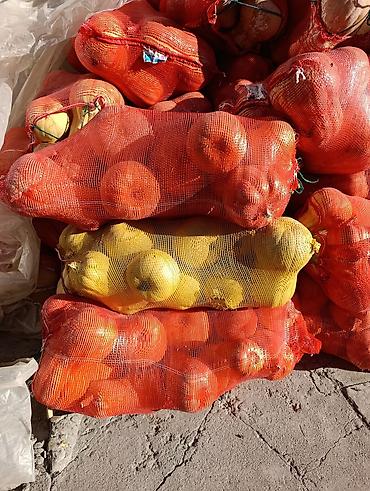 мешками: Тыква в сетках (оптом) на корм - Сорт: столовая тыква крупноплодная — 4