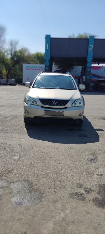 Lexus: Lexus RX: 2004 г., 3 л, Автомат, Газ, Кроссовер