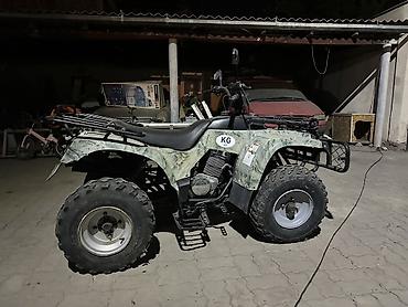 квадра цыкл: Квадроцикл утилитарного класса, полноразмерный, с камуфляжным — 2