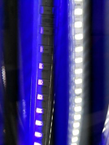 murano lusteri: Led traka 220V IP68 vodootporna plava crvena zelena bela . Namena za — 7