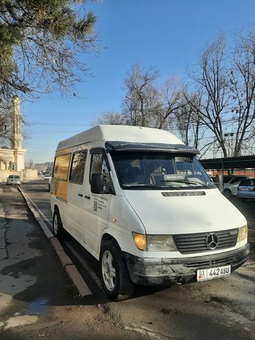 Mercedes-Benz: Mercedes-Benz Спринтер: 1996 г., 2.9 л, Механика, Дизель, Бус — 1
