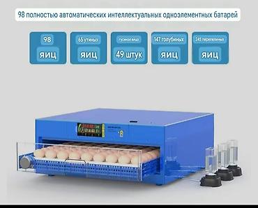 Инкубатор автоматический для яиц, умный, одноярусный, синего цвета