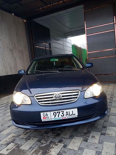 lider auto: BYD F3: 2008 г., 1.6 л, Механика, Бензин, Седан — 4