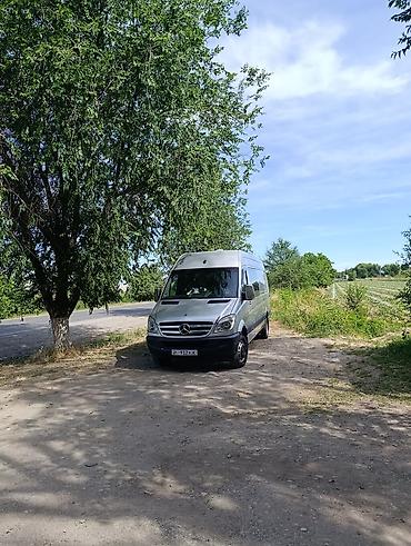 спринтер дельфин: Mercedes-Benz Спринтер: 2006 г., 2.7 л, Механика, Дизель, Фургон — 4