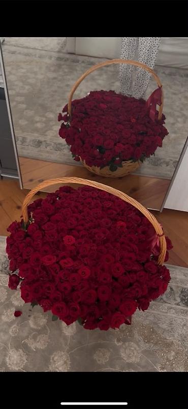 продам букет: Пышная корзина из бордовых роз - Состав: множество свежих бордовых — 2