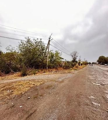 Продажа участков: 22 соток, Красная книга — 6