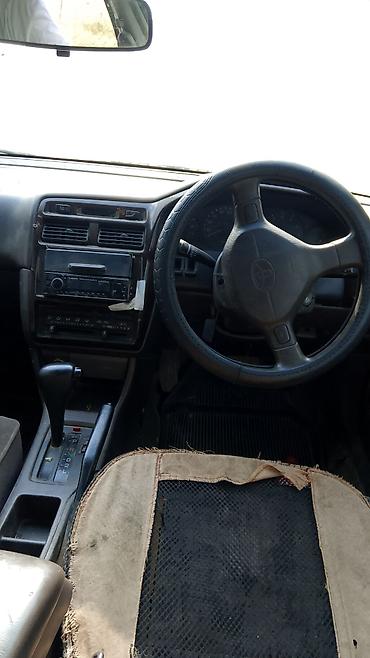 шампунь авто: Toyota Premio: 1997 г., 1.8 л, Автомат, Седан — 1