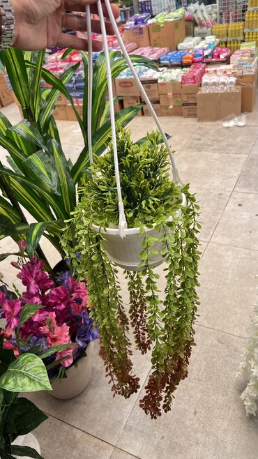 Süni güllər: Qi̇ymətlər 10 azn başlayir depodan bir başa satiş suni̇ qazonlar — 21