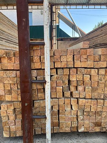 Доски: Лес — 4