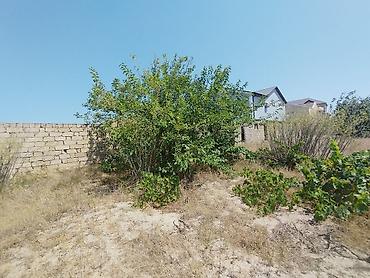 Torpaq: 20 sot, Tikinti, Mülkiyyətçi, Kupça (Çıxarış) — 8
