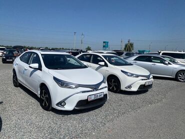 mashina toyota corolla: Toyota Corolla: 2017 г., 1.8 л, Вариатор, Гибрид, Седан