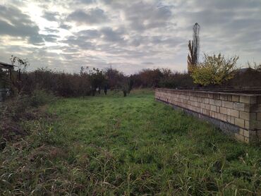 Torpaq sahələrinin satışı: Yalama kənd .məktəbin yani. parkin yani. su .işig .gaz gapidadir -da lalafo.az — 11 Torpaq sahələrinin satışı: Yalama kənd .məktəbin yani. parkin yani. su .işig .gaz gapidadir — 11