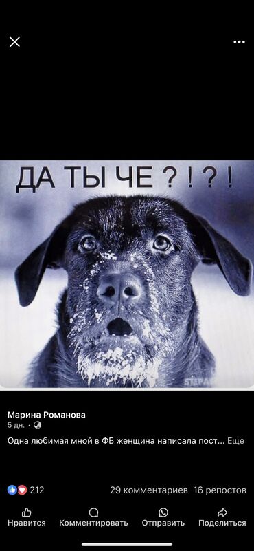 водитель на авто компании: Доброго времени суток!!! Срочно требуются