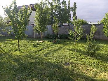 Продажа коттеджей и домов: Продаем дом. Вся прелесть этого участка, что он выходит на 2 — 4