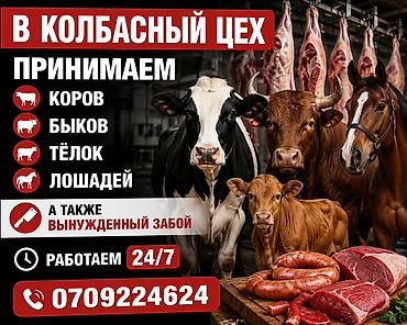 Эт бөлүгү, Өзү алып кетүү