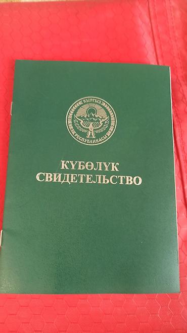 алтын казык ж м: 203 соток, Для сельского хозяйства, Договор купли-продажи — 1