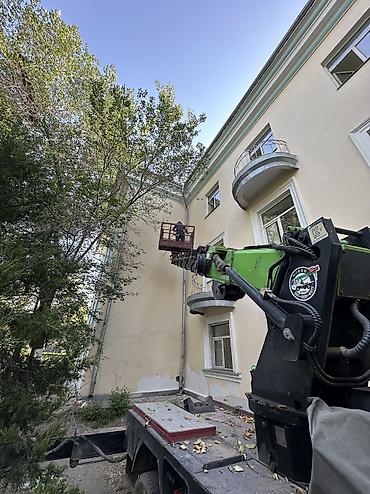 Побелка: Побелка стен, Побелка потолков, Наружная побелка | Известковая побелка, Мелковая побелка Больше 6 лет опыта — 37