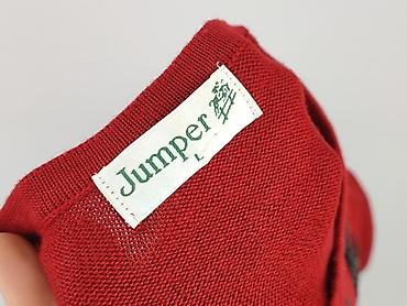 pluszowy sweter: Jumper, Sweter damski, rozmiar L — 4