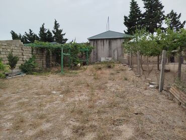 5 sot, Tikinti, Makler, Kupça (Çıxarış)