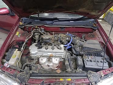 Nissan: Nissan Almera: 2001 г., 1.8 л, Механика, Бензин, Седан — 4