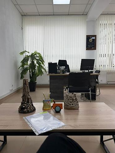 Услуги переводчика: Услуги переводчика — 2