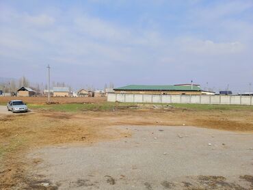 спа салоны: Сузакский район село камыш башы Земельный участок полностью