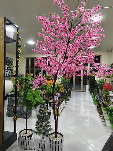 sakura agaci: Süni dekorativ çiçək ağacı – interyer və tədbirlər üçün - Növlər — 1