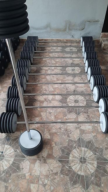 Ştanqlar və ştanq diskləri: Ştanq, Çəki: 10 kq, Yeni — 23