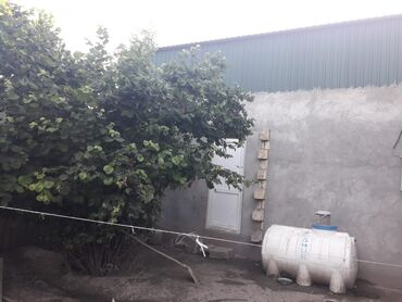 Bağ evlərinin satışı: Bakı, 65 kv. m, 3 otaqlı, Hovuzlu, İşıq — 7