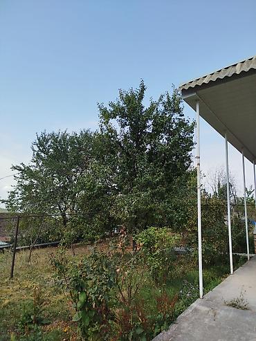 Həyət evləri və villaların satışı: Həyətyanı sahəsi genişdir, sakit məhəllədə yerləşir, ətrafı təbiət və -da lalafo.az — 13 Həyət evləri və villaların satışı: Həyətyanı sahəsi genişdir, sakit məhəllədə yerləşir, ətrafı təbiət və — 13