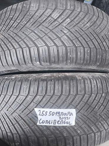 2555019: Шины 255 / 50 / R 19, Всесезонная, Б/у, Пара, Continental — 1
