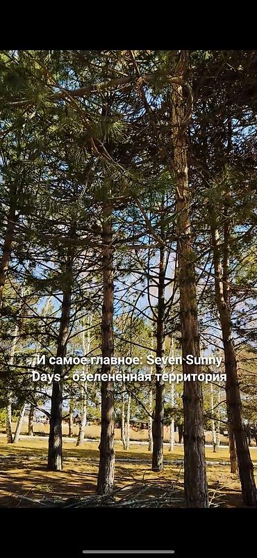 2ком квартира куплю: Сдан, Индивидуалка, 1 комната, 33 м² — 4
