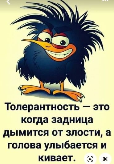 Пекари, Кондитеры: Требуется Пекарь :, Оплата Ежедневно, Менее года опыта