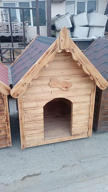 heyvanlar quslar: Taxta it evi - Material: təbii ağac taxtalardan yığılıb, yan və ön — 1