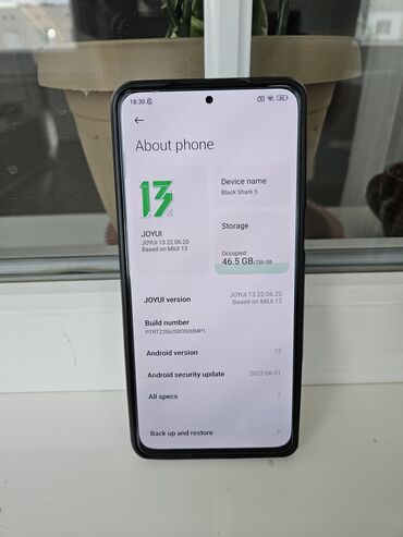 Xiaomi: Xiaomi, Black Shark 5, Б/у, 256 ГБ, цвет - Синий, 2 SIM