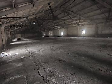 Продажа сельхоз предприятий: Ферма КРС, 800 соток, Действующий, Частично с оборудованием, Скважина, Холодная вода, Электричество — 16