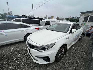 корея машина цена: Kia K5: 2018 г., 2 л, Автомат, Газ, Седан