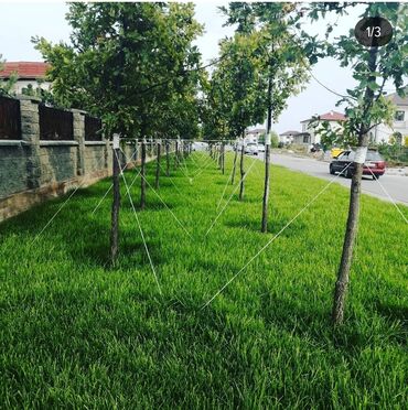 электромобили из китая в бишкек: 🌿 Газон 🌿 Посев газона 🌿 Удобрение для газона 🌿Сеем газон 🌿
