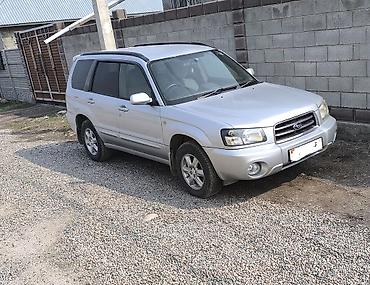 Subaru: Subaru Forester: 2003 г., 2 л, Автомат, Бензин, Универсал — 1