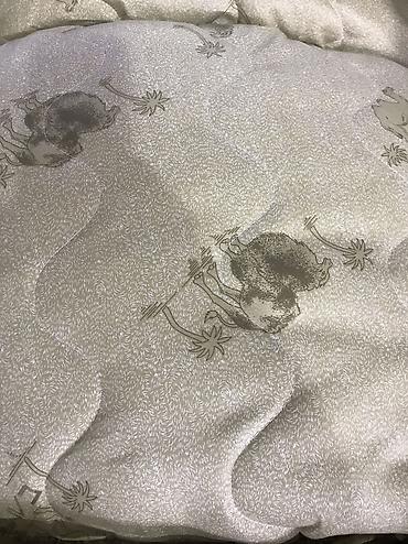 Комплекты постельного белья: Комплект постельного белья 100% хлопок, фланель, байка, Сатин — 72