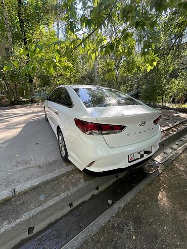 sonata 2012: Hyundai Sonata: 2018 г., 2.4 л, Автомат, Бензин, Седан — 4