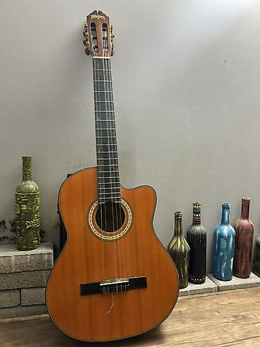 gitara barter: Washburn Elektro-Klassik Gitar – Fishman Ekolayzerli (Xüsusi — 1
