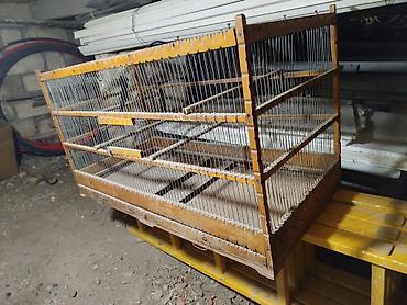 dovşan ucun qəfəs: Taxta quş qəfəsi və yuvalama qutusu dəsti - Material: möhkəm taxta — 6