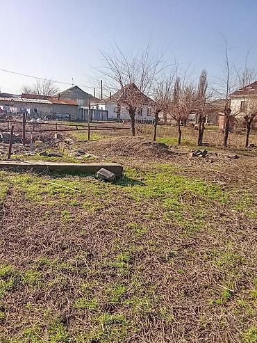 Продажа коттеджей и домов: Продам дом село Манас, участок 24соток хоз постройки баня сарай — 6