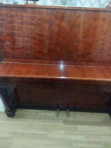belarus 892: “Belarus” upright pianino - Model: “Belarus” (БЕЛАРУСЬ) akustik — 2