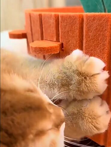 Зоотовары: Домик для котика. Материал типо войлока. Лёгкий, удобный. Коты не — 13