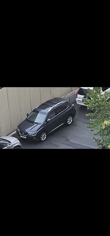 лексус rx 330 новый цена: Lexus RX: 2010 г., 3.5 л, Типтроник, Бензин, Кроссовер
